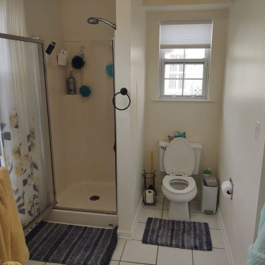 Bathroom shower area - BEFORE